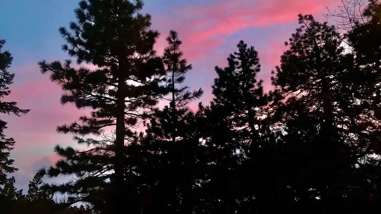 Photo of Outdoor in Twin Peaks