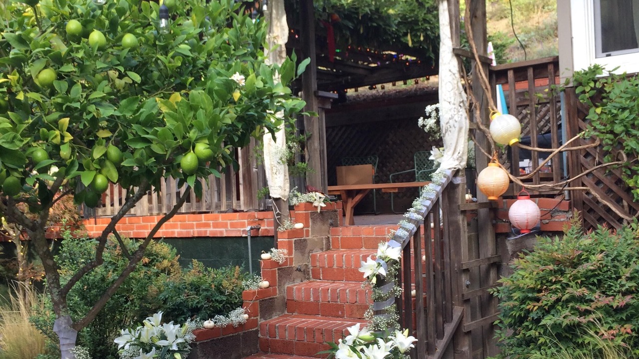 Photo of Outdoor in Fairfax