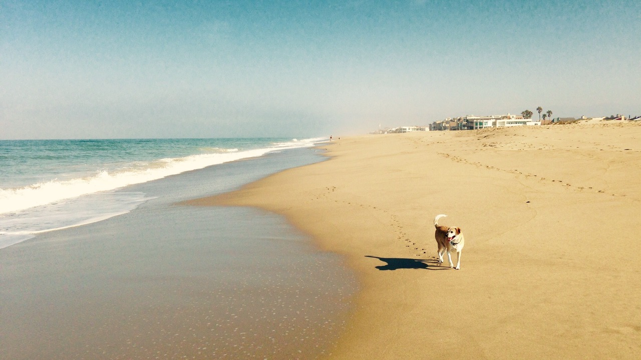 Photo of Outdoor in Oxnard Shores