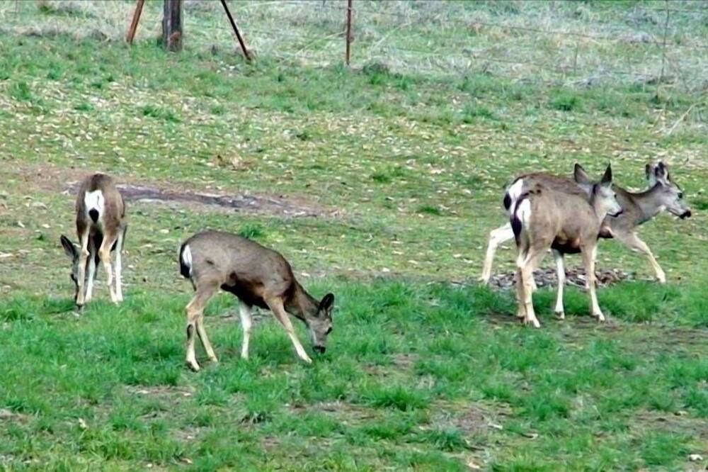 Photo of Others in Miramonte