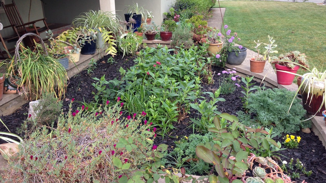 Photo of Outdoor in Gilroy