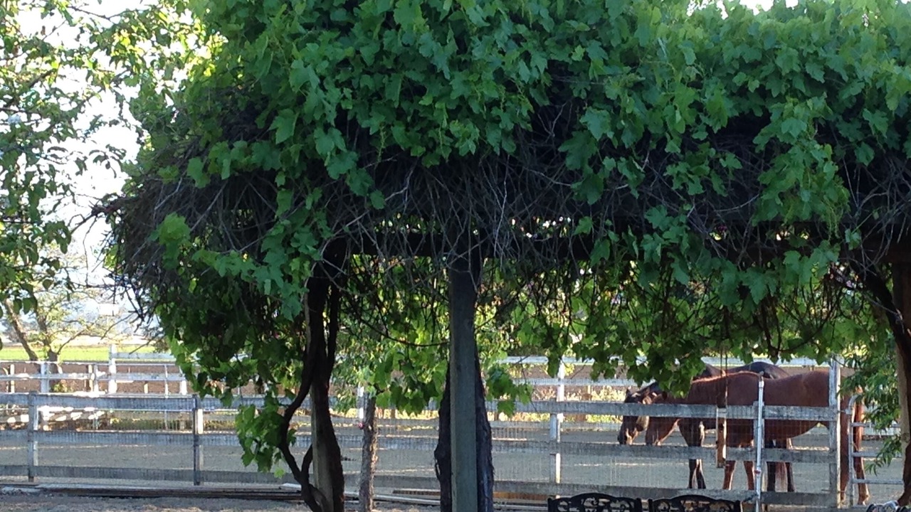 Photo of Outdoor in Gilroy