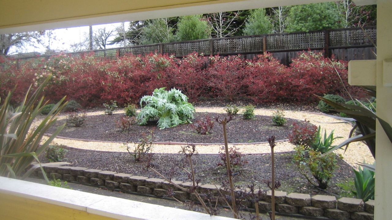 Photo of Outdoor in Sebastopol