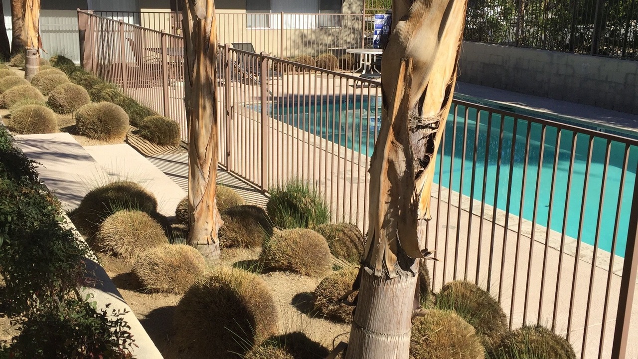 Photo of Outdoor in Palm Desert