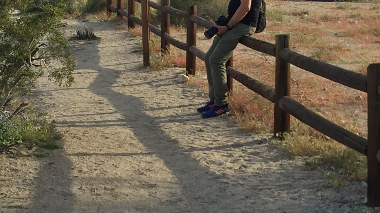 Photo of Outdoor in Palm Desert