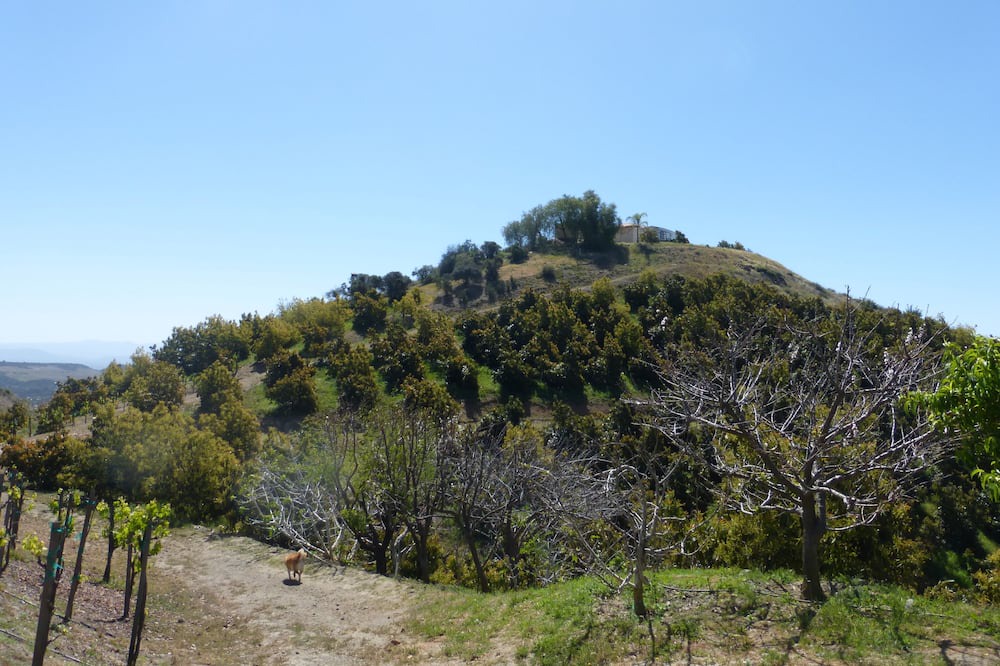 Photo of Outdoor in Murrieta