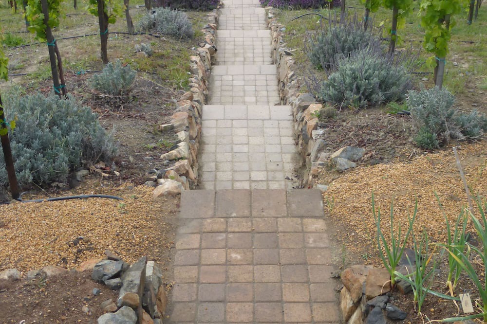 Photo of Outdoor in Murrieta