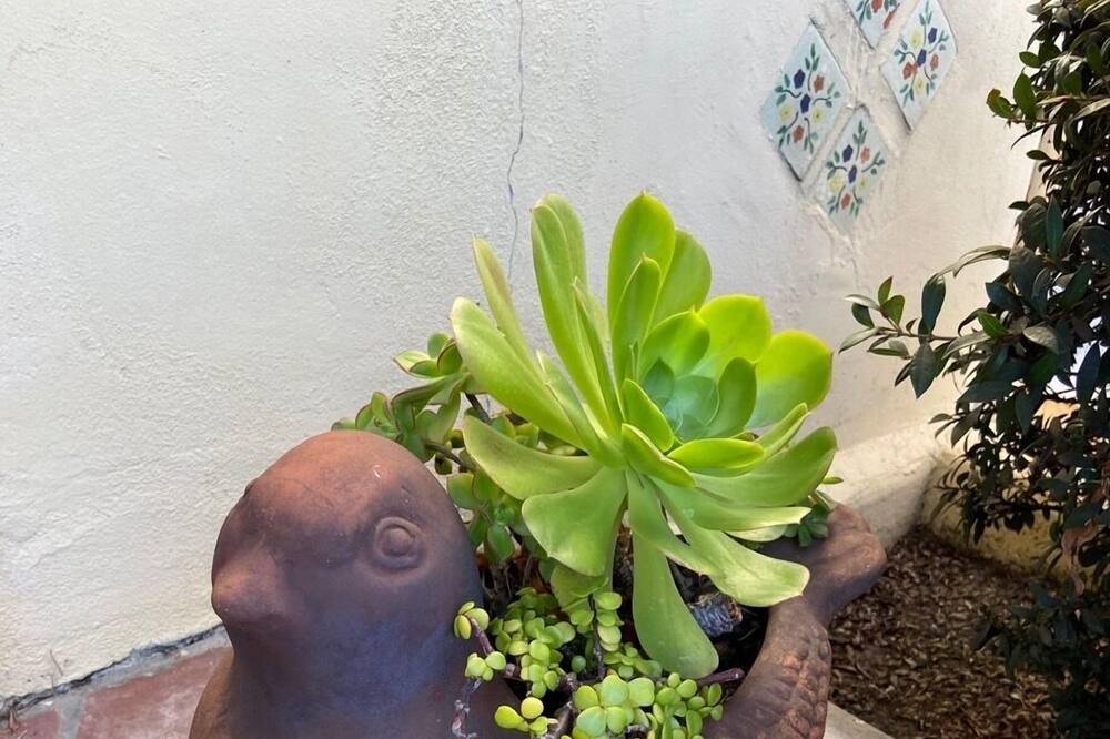 Photo of Outdoor in Old Towne