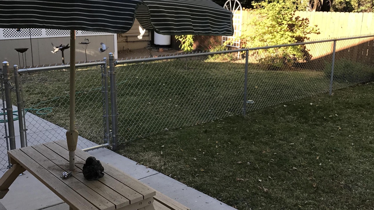 Photo of Outdoor in West Bishop