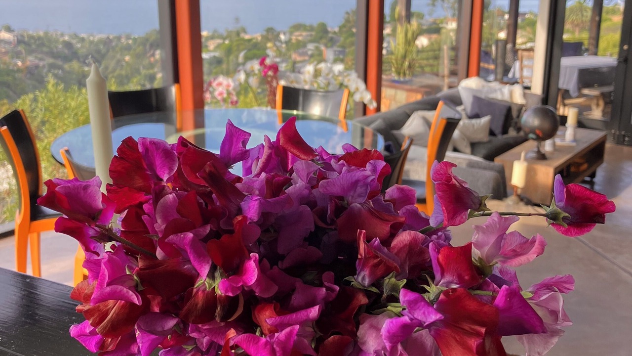 Photo of Others in Laguna Beach