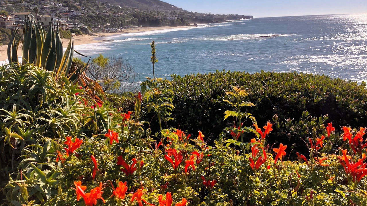 Photo of Others in Laguna Beach