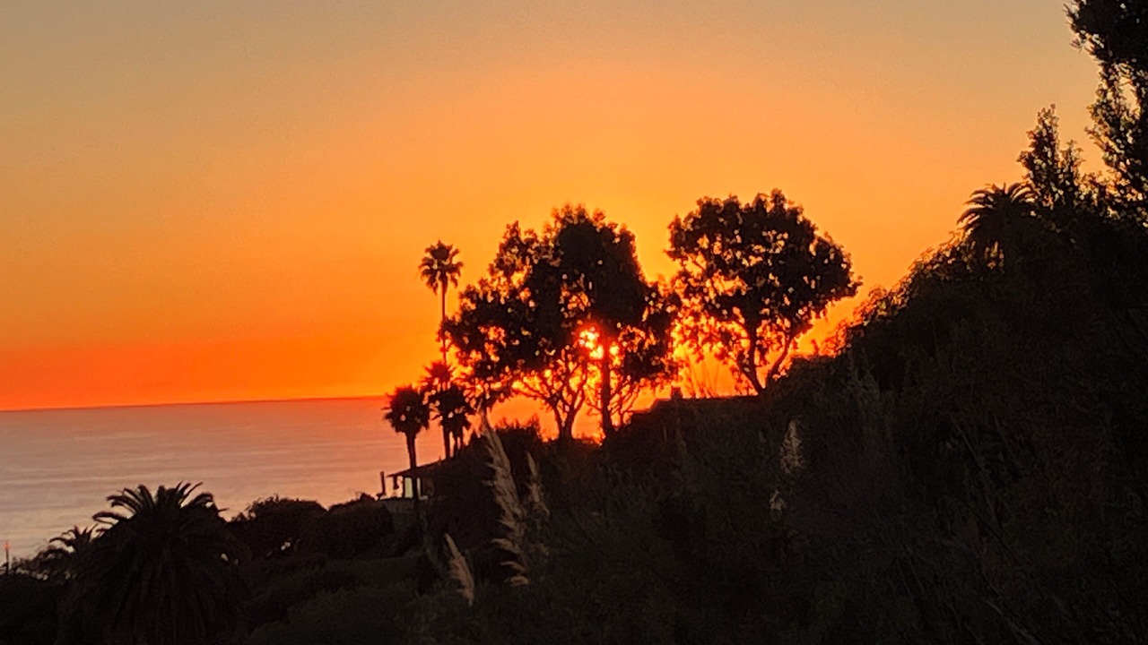 Photo of Others in Laguna Beach