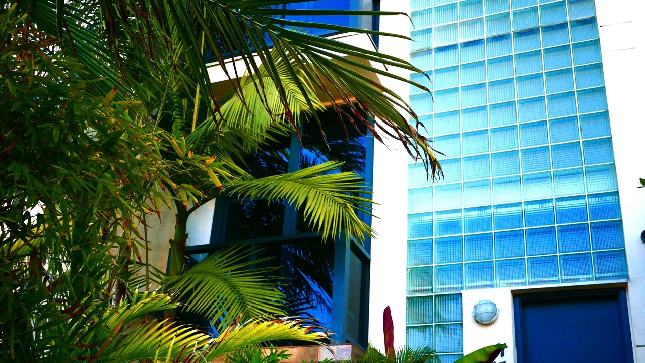 Photo of Outdoor in Marina Peninsula