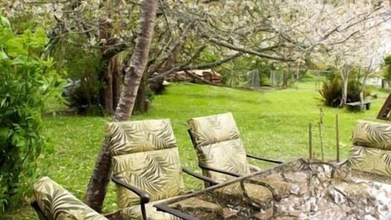 Photo of Outdoor in Ferndale