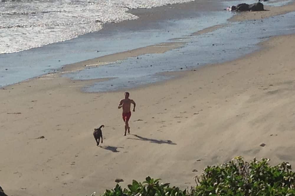 Photo of Others in Western Malibu
