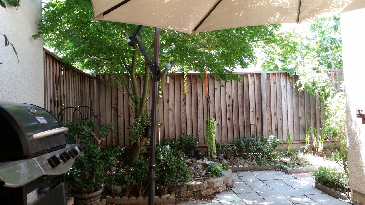 Photo of Outdoor in Santa Clara