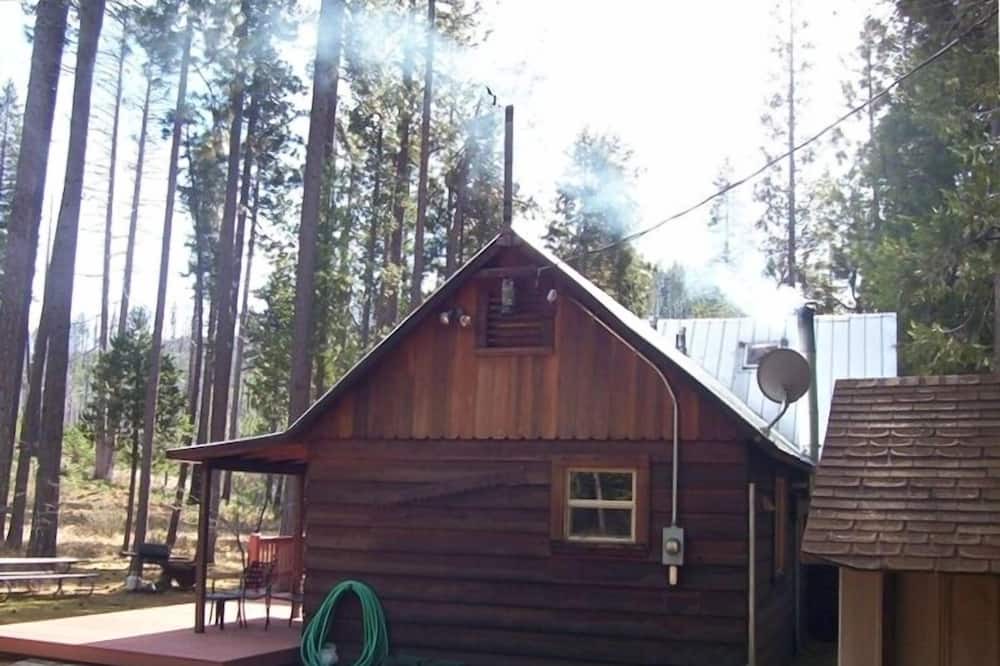 Photo of Outdoor in Foresta