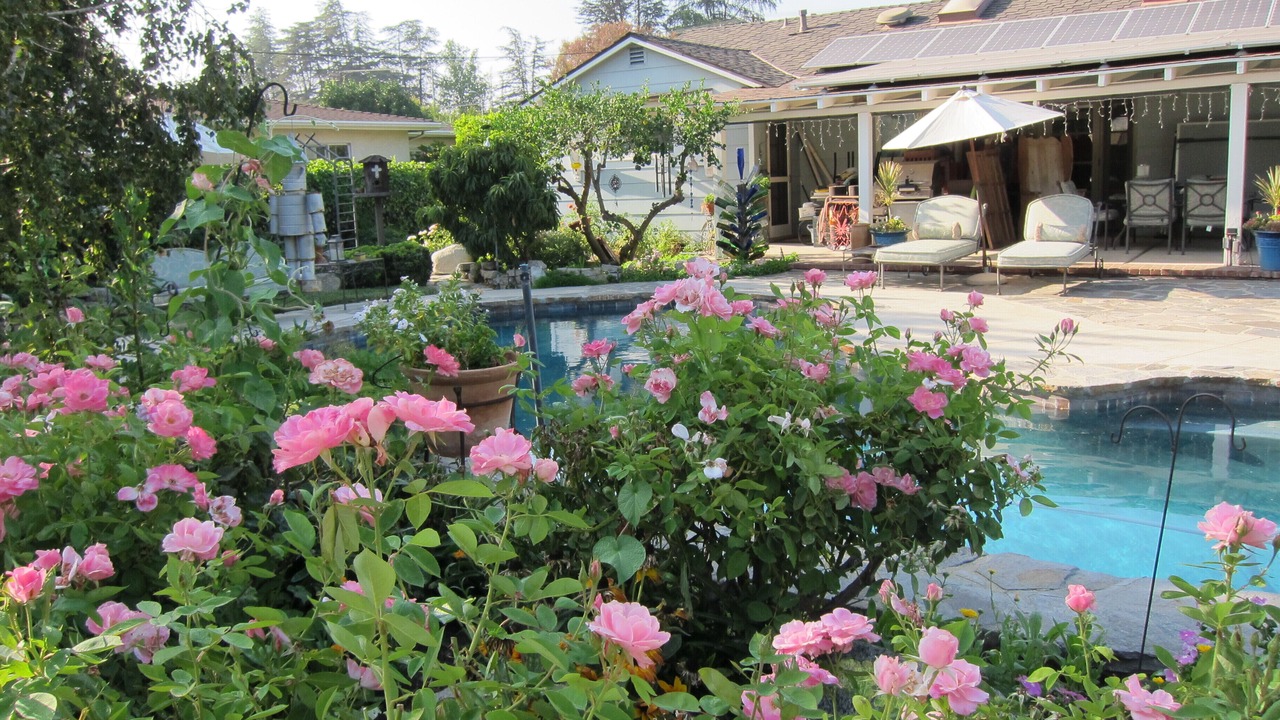 Photo of Outdoor in Northridge