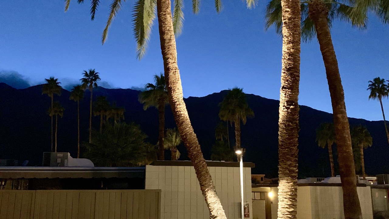 Photo of Outdoor in Twin Palms