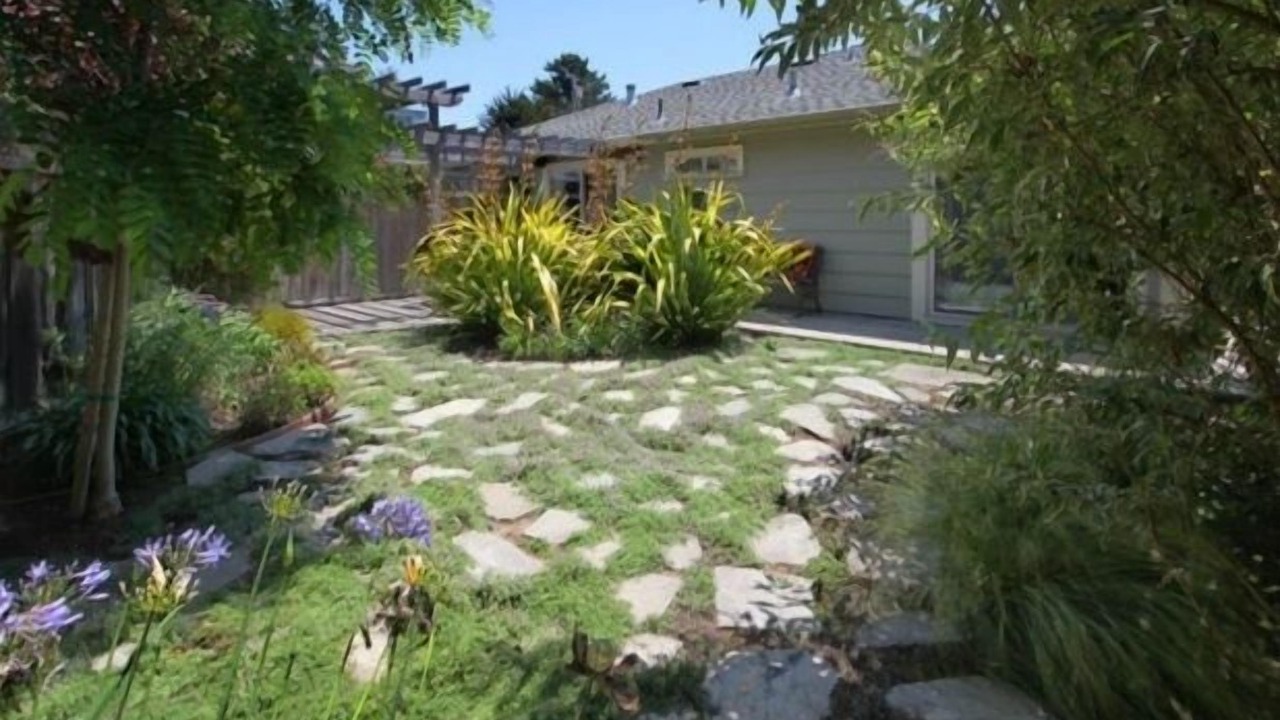 Photo of Outdoor in Opal Cliffs
