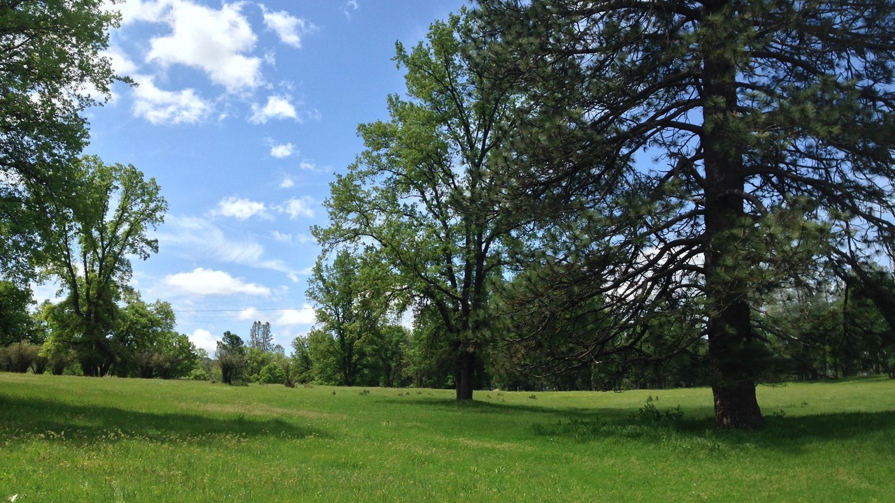 Photo of Others in Phoenix Lake-Cedar Ridge