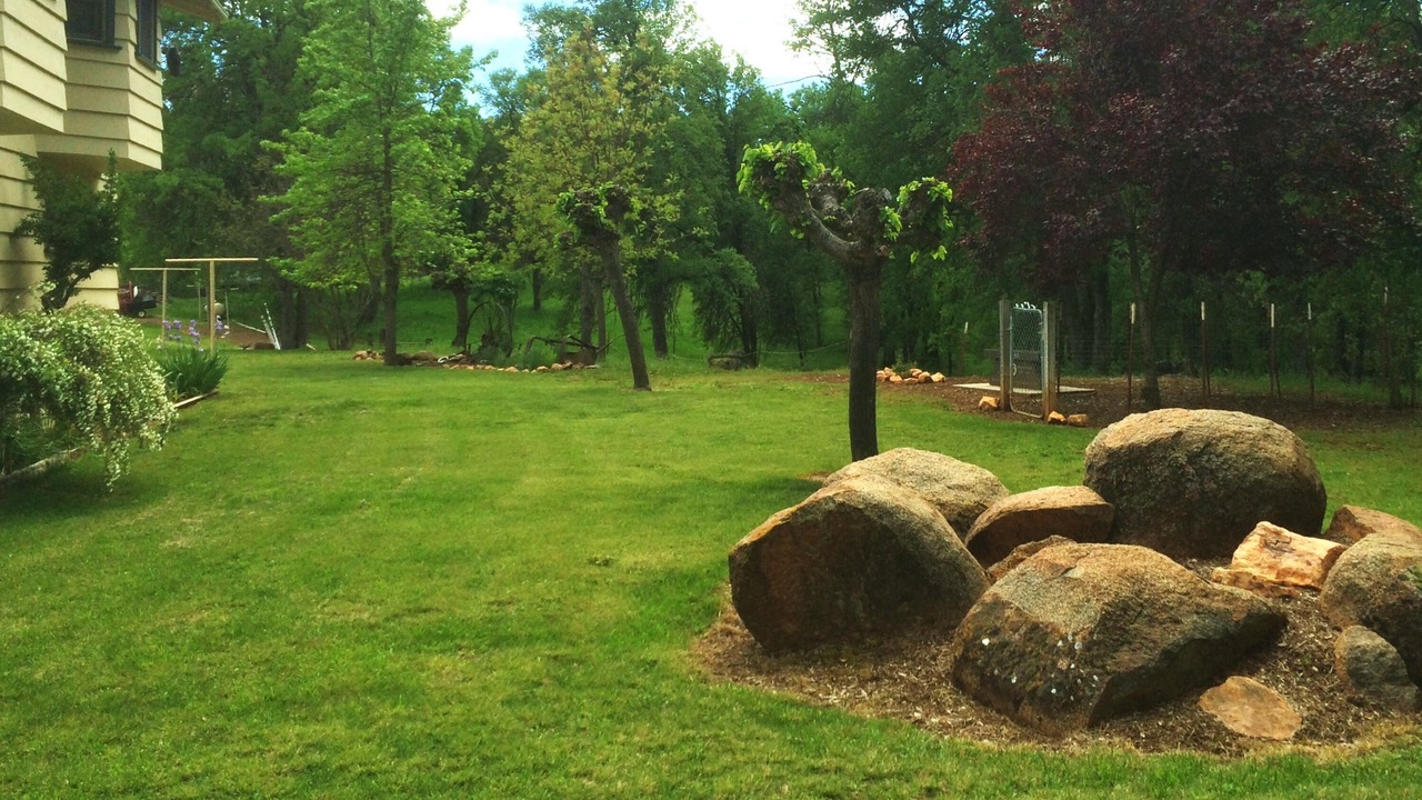 Photo of Outdoor in Phoenix Lake-Cedar Ridge