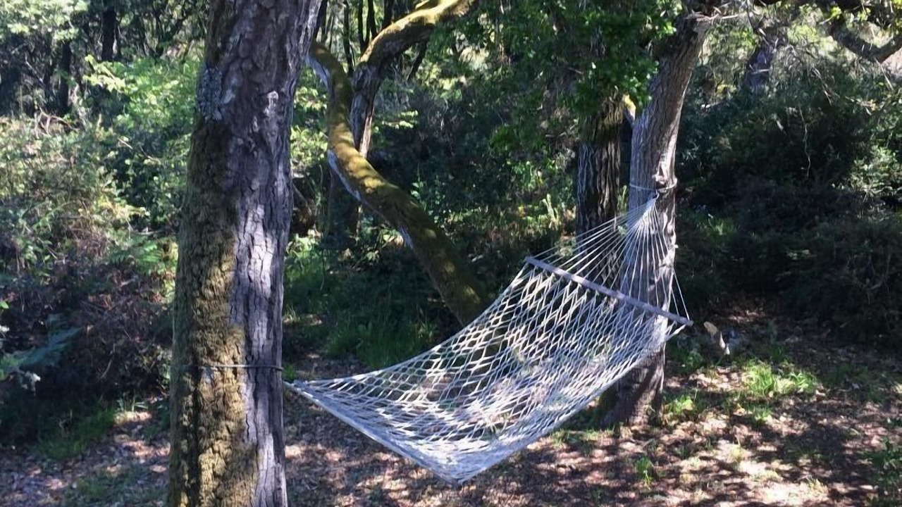 Photo of Outdoor in Inverness