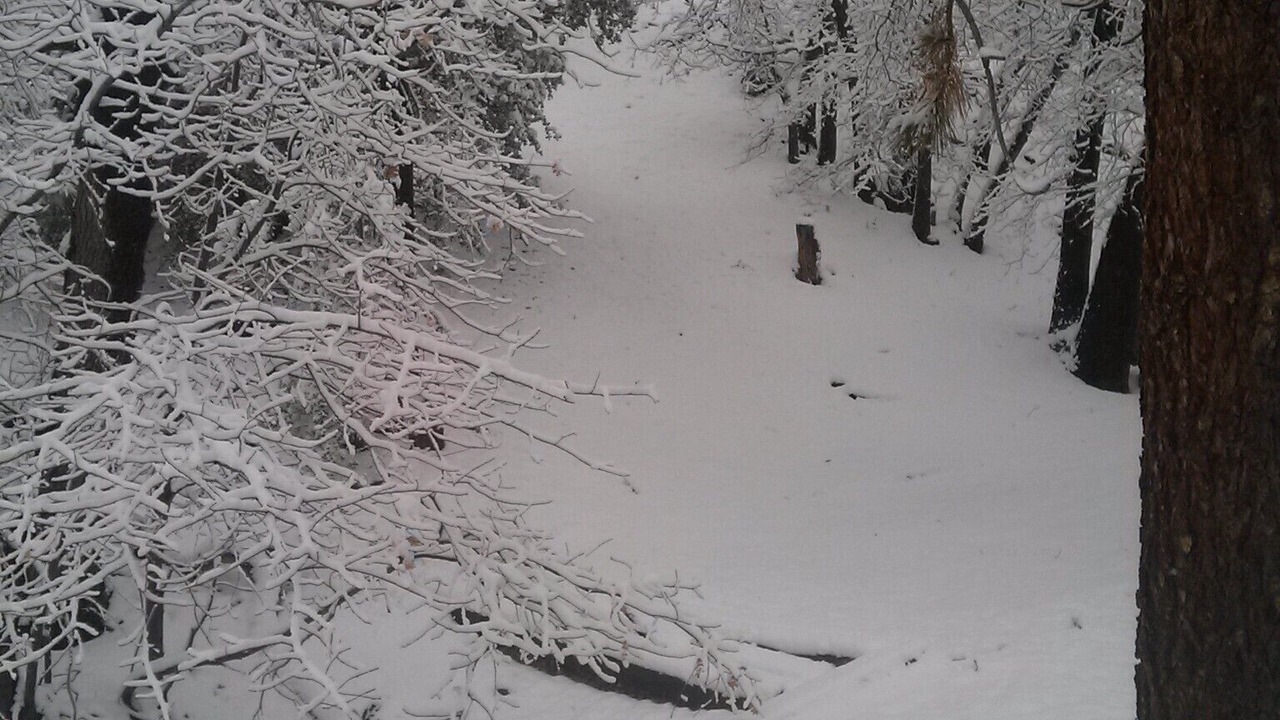 Photo of Others in Wrightwood
