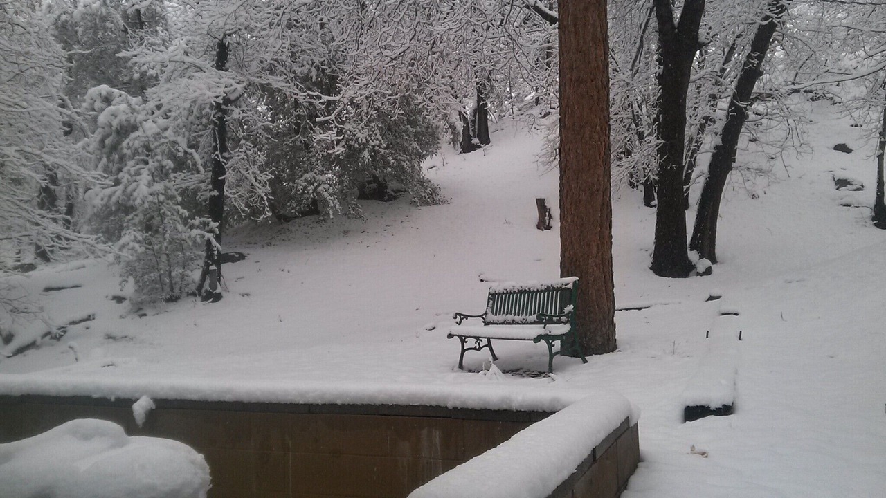 Photo of Outdoor in Wrightwood