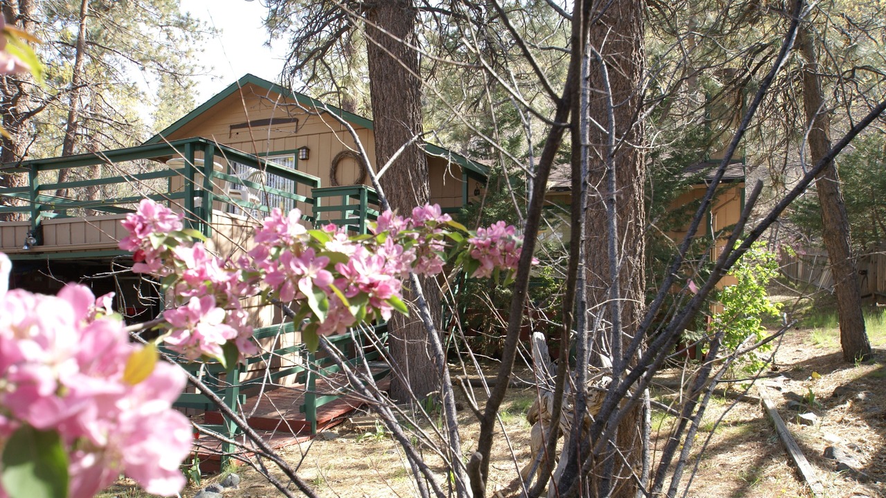 Photo of Outdoor in Wrightwood