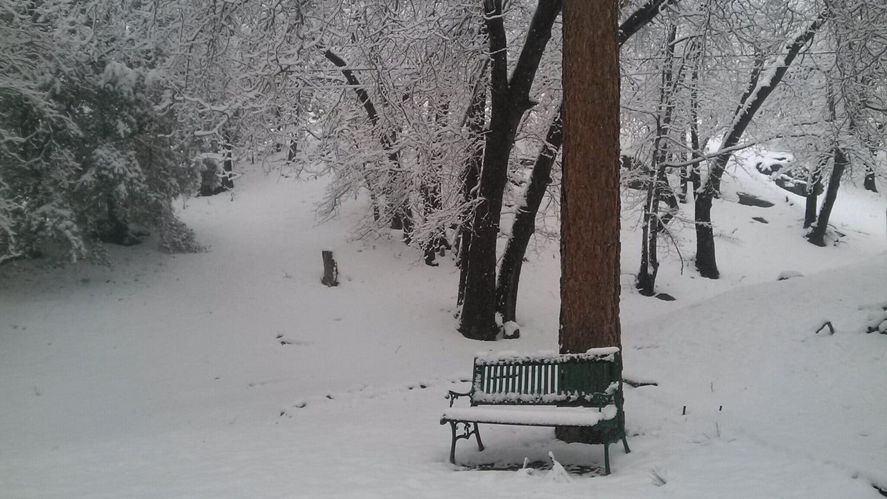 Photo of Outdoor in Wrightwood