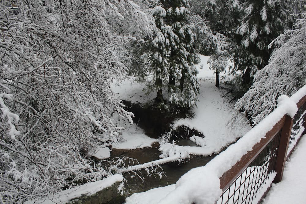Photo of Outdoor in Mono Vista
