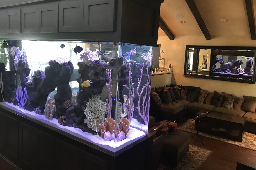 Photo of Bedroom in Laguna Niguel