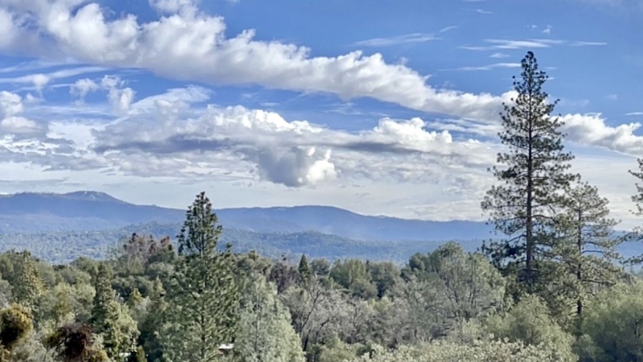 Photo of Others in Mariposa