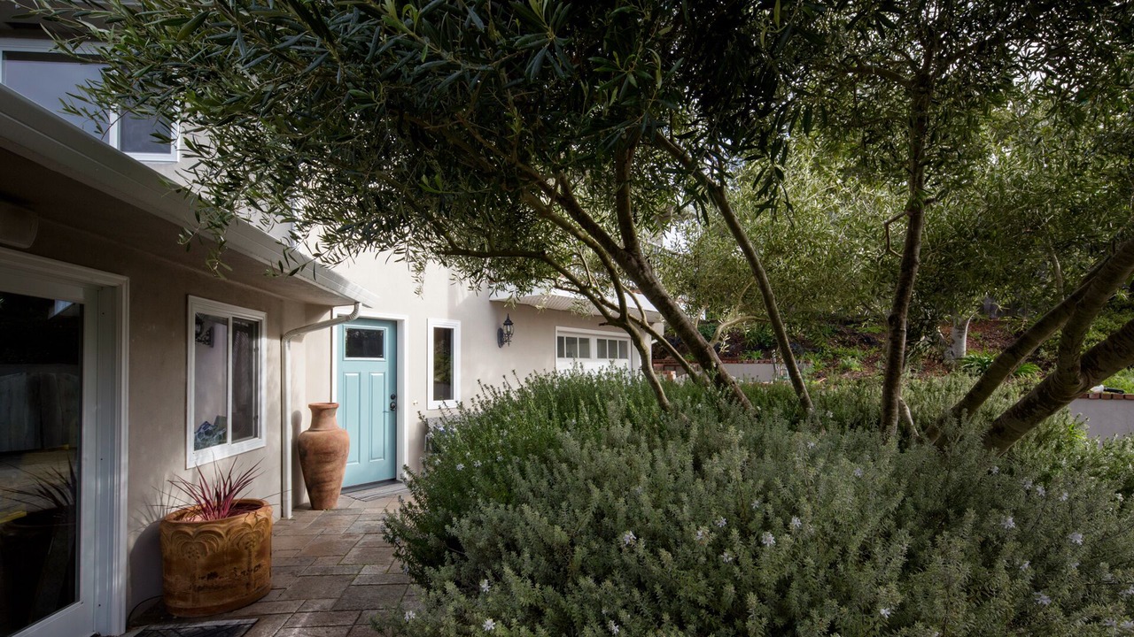 Photo of Outdoor in Carmel