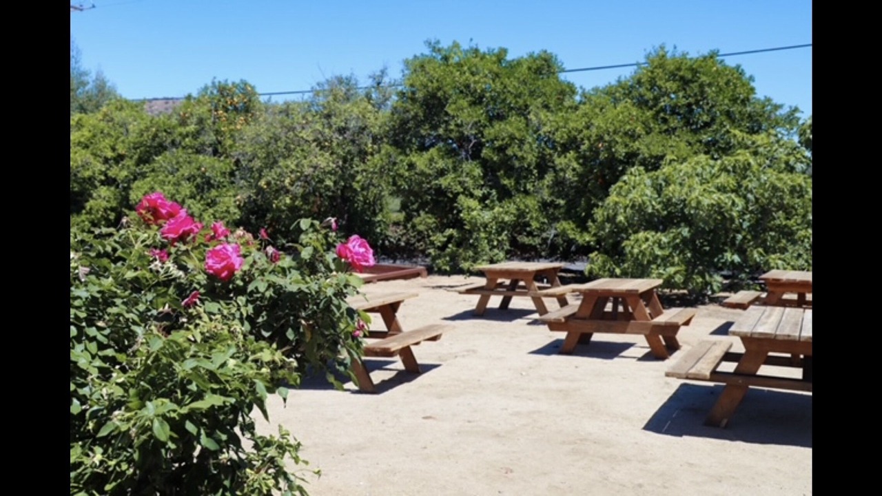 Photo of Outdoor in Escondido