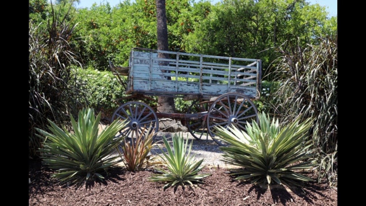 Photo of Outdoor in Escondido