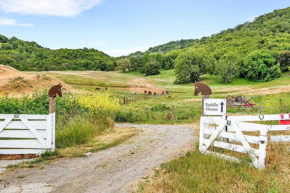 Photo of Outdoor in Petaluma