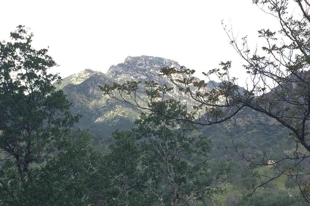 Photo of Outdoor in Three Rivers
