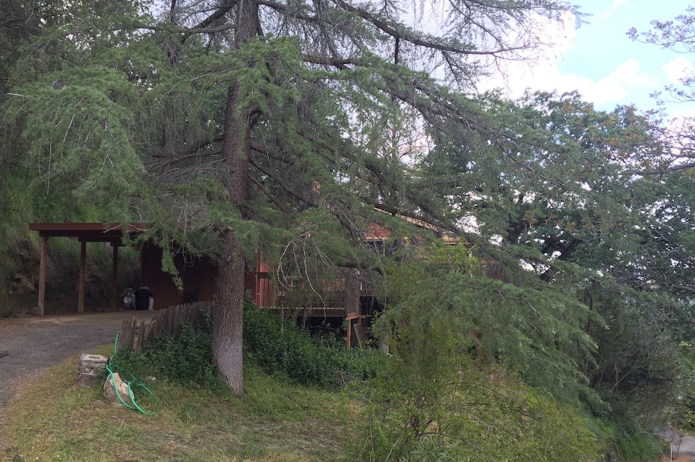 Photo of Outdoor in Three Rivers