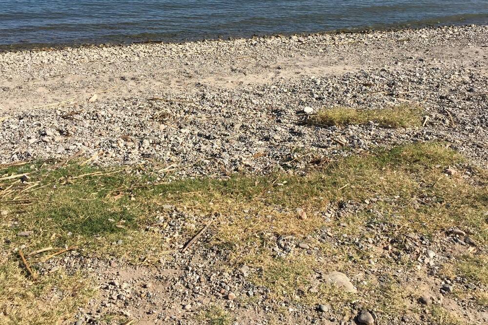 Photo of Outdoor in Havasu Lake