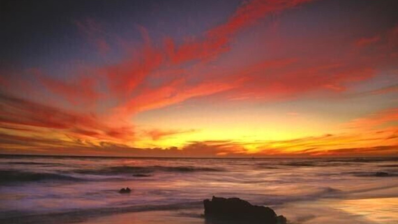 Photo of Others in Malibu