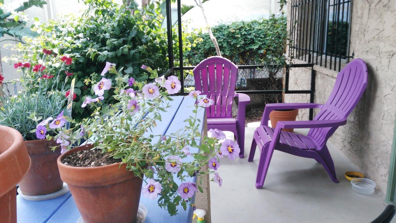 Photo of Outdoor in Los Angeles