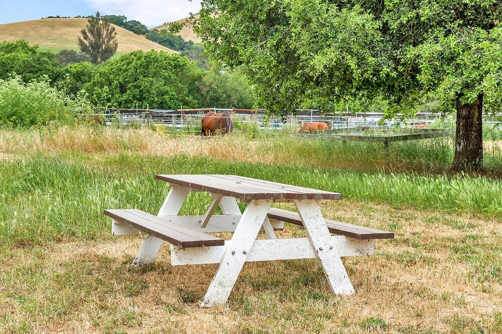 Photo of Outdoor in Petaluma