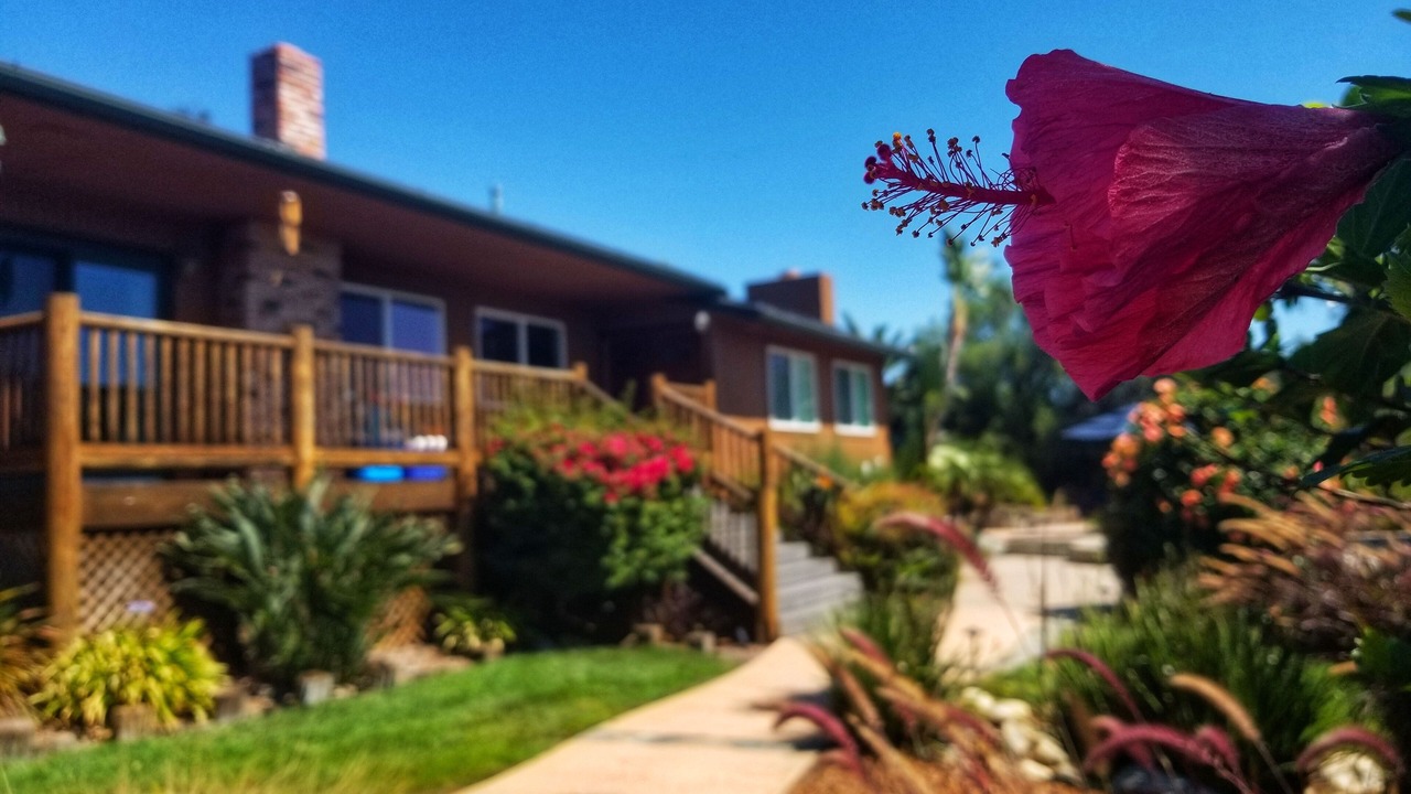Photo of Outdoor in Felicita