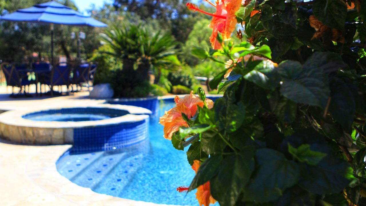 Photo of Outdoor in Felicita
