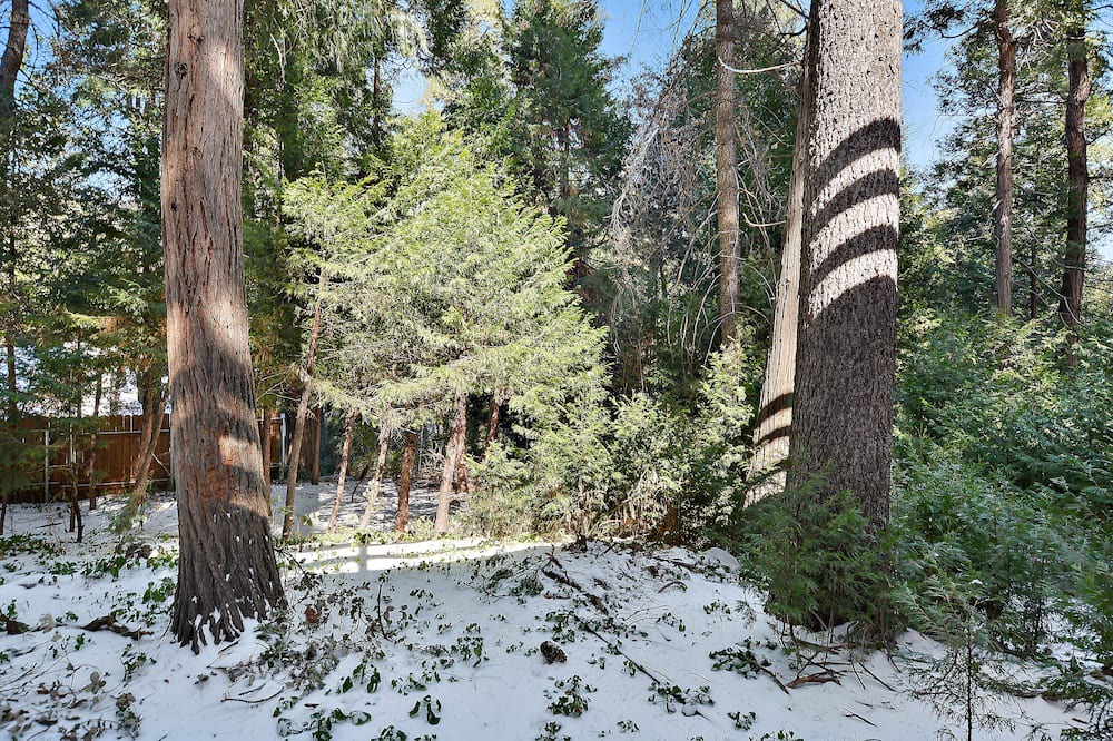 Photo of Outdoor in Crestline