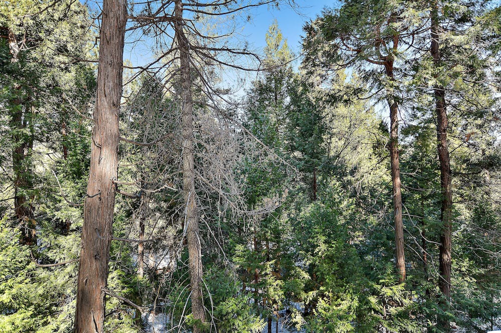 Photo of Others in Crestline