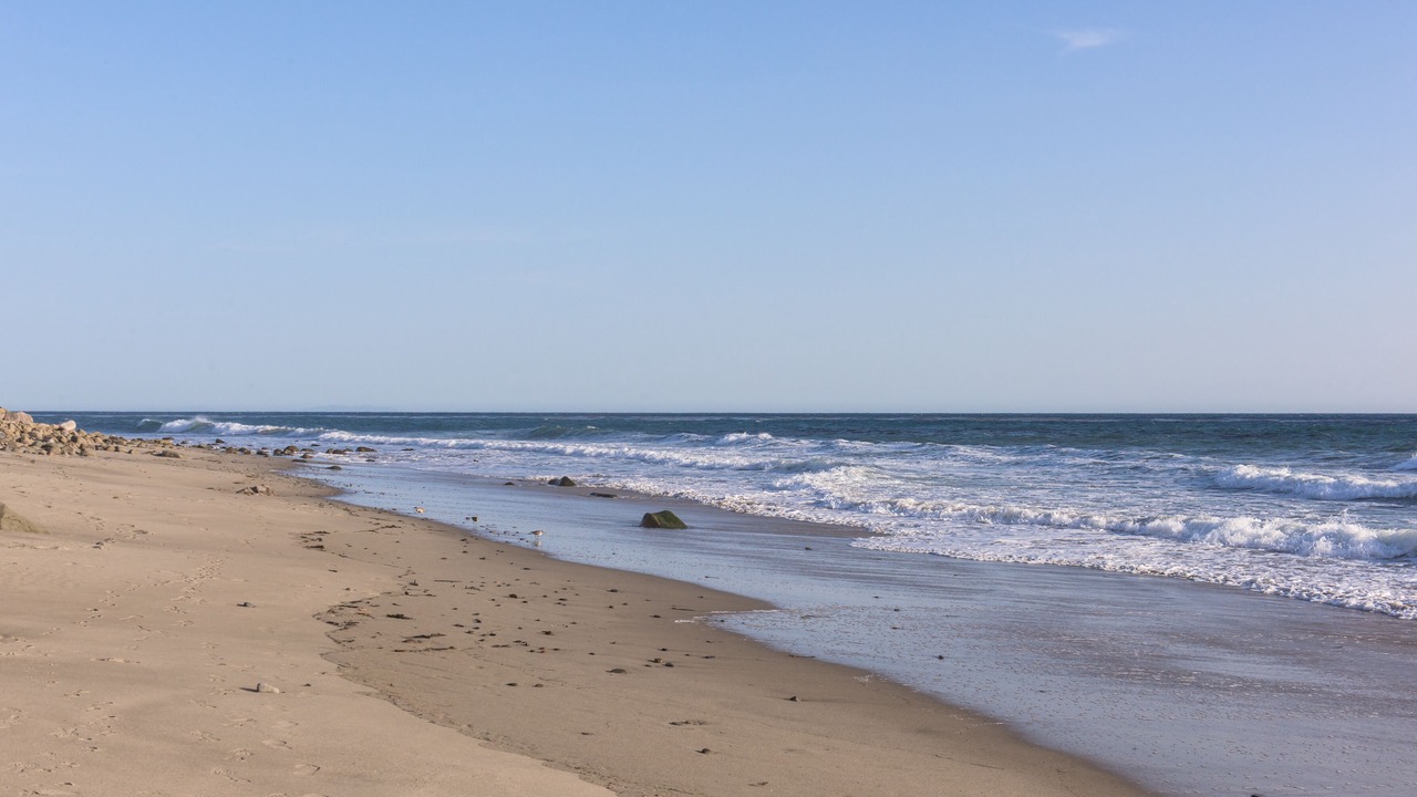 Photo of Others in Malibu