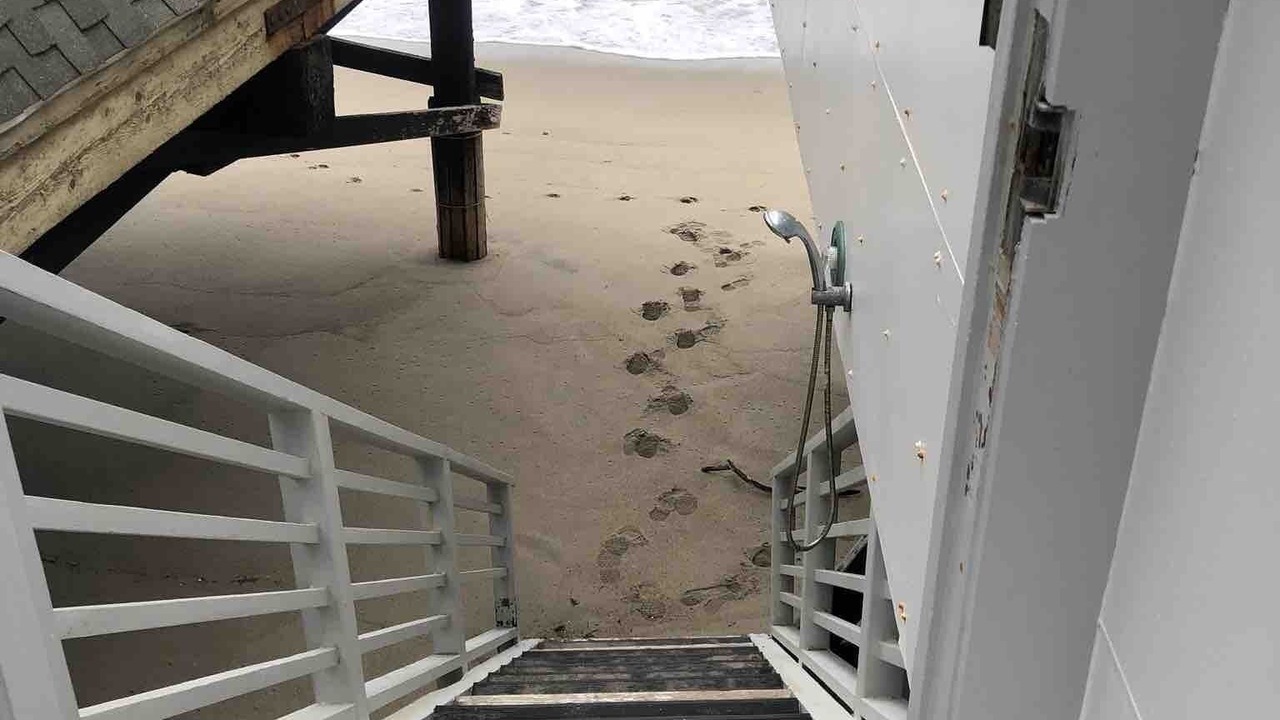 Photo of Others in Malibu